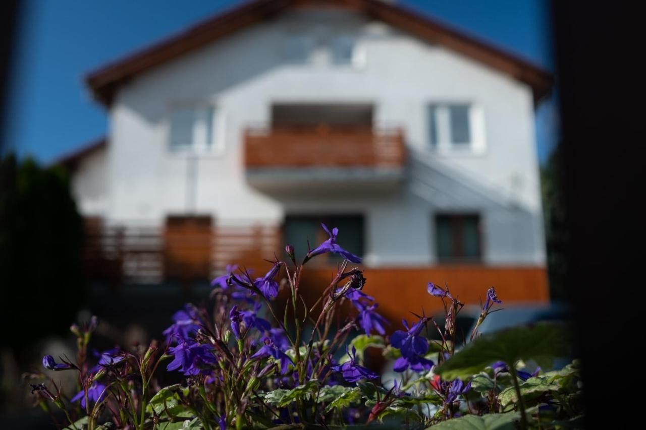 Apartamenty Karkonosze Gory Izerskie Piechowice  Extérieur photo